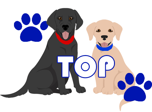 ページTOPへ戻る